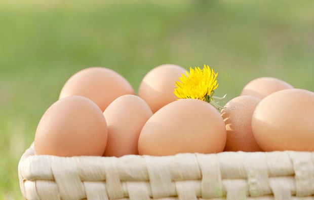 涨姿势！鸡蛋每天吃超过1个并不是不健康